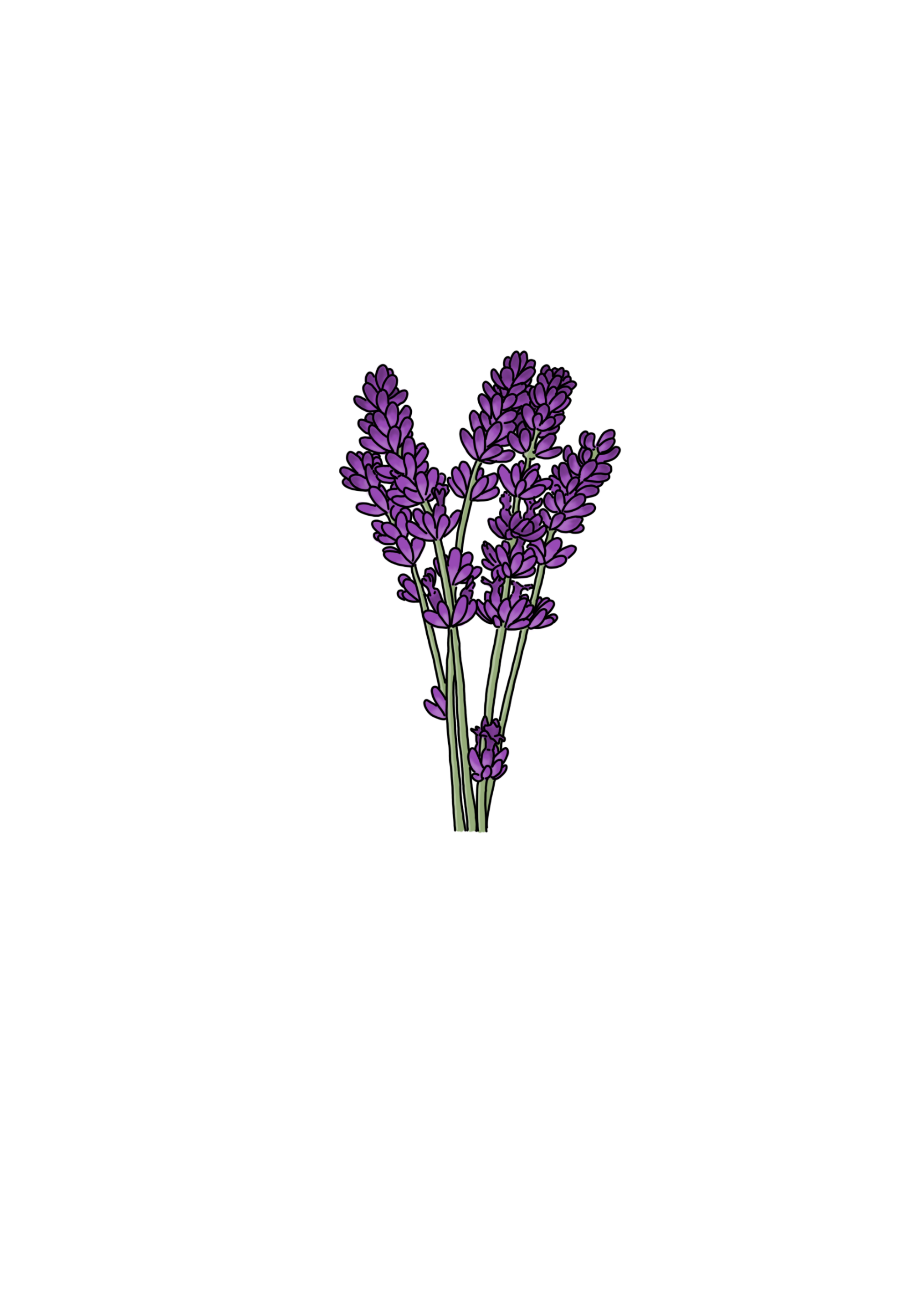 Stickers Printemps🌻