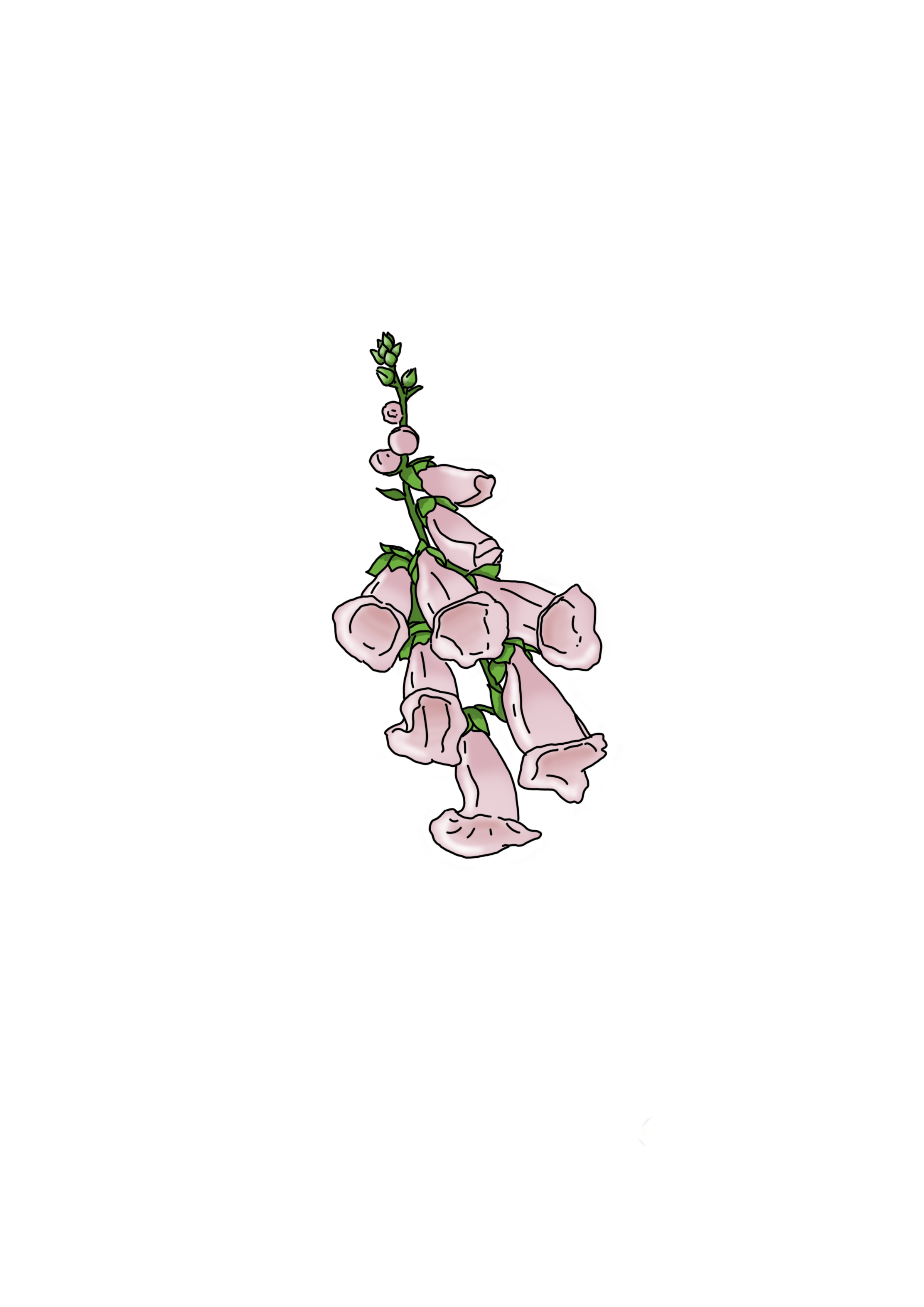 Stickers Printemps🌻