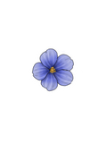 Stickers Printemps🌻