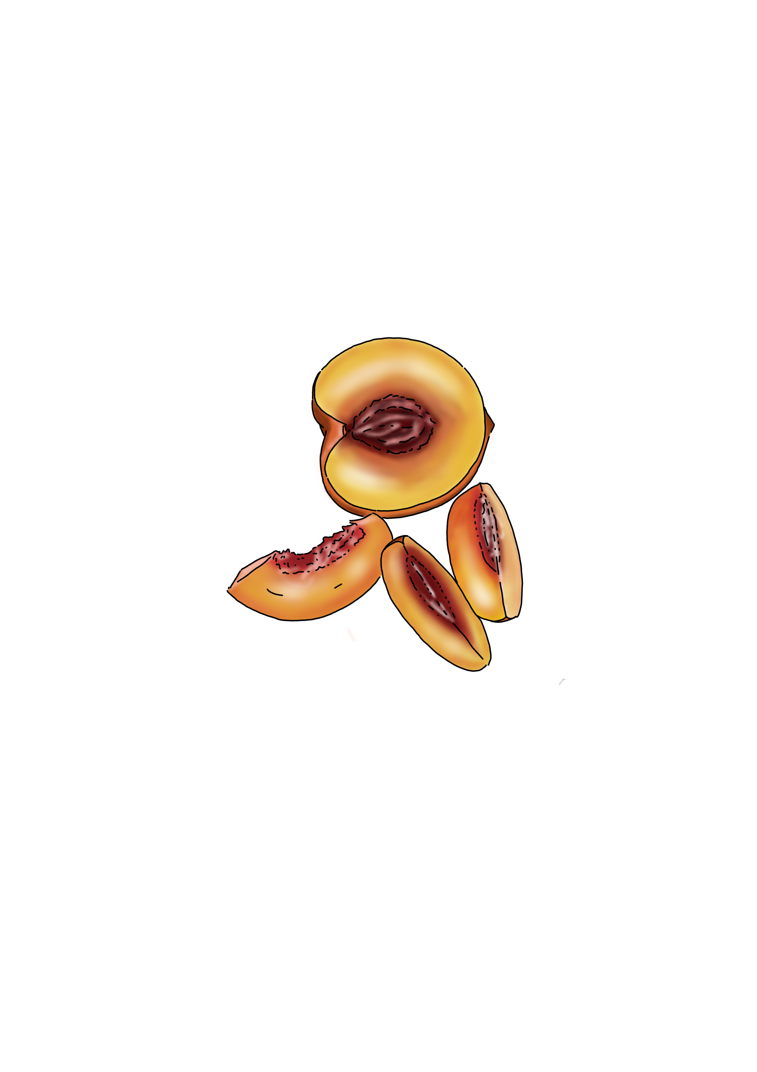 Stickers Fruits 🍓
