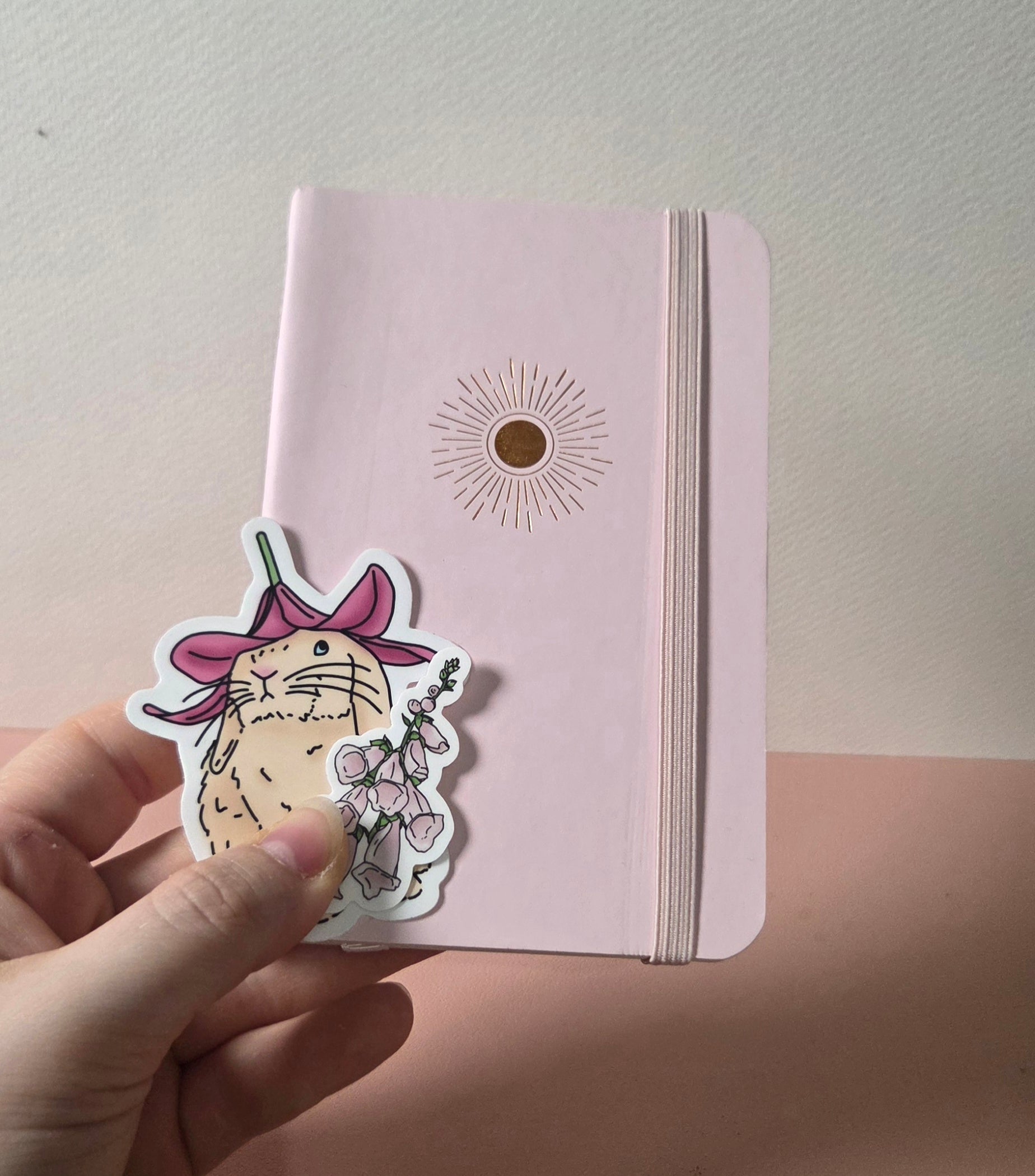 Pack Petit Plaisir ✨️