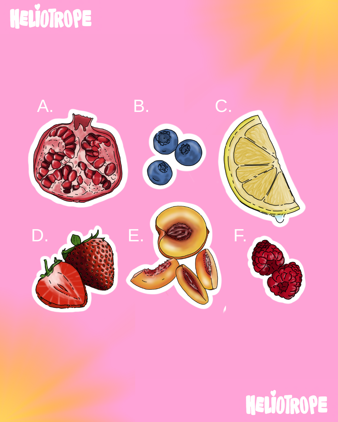 Stickers Fruits 🍓