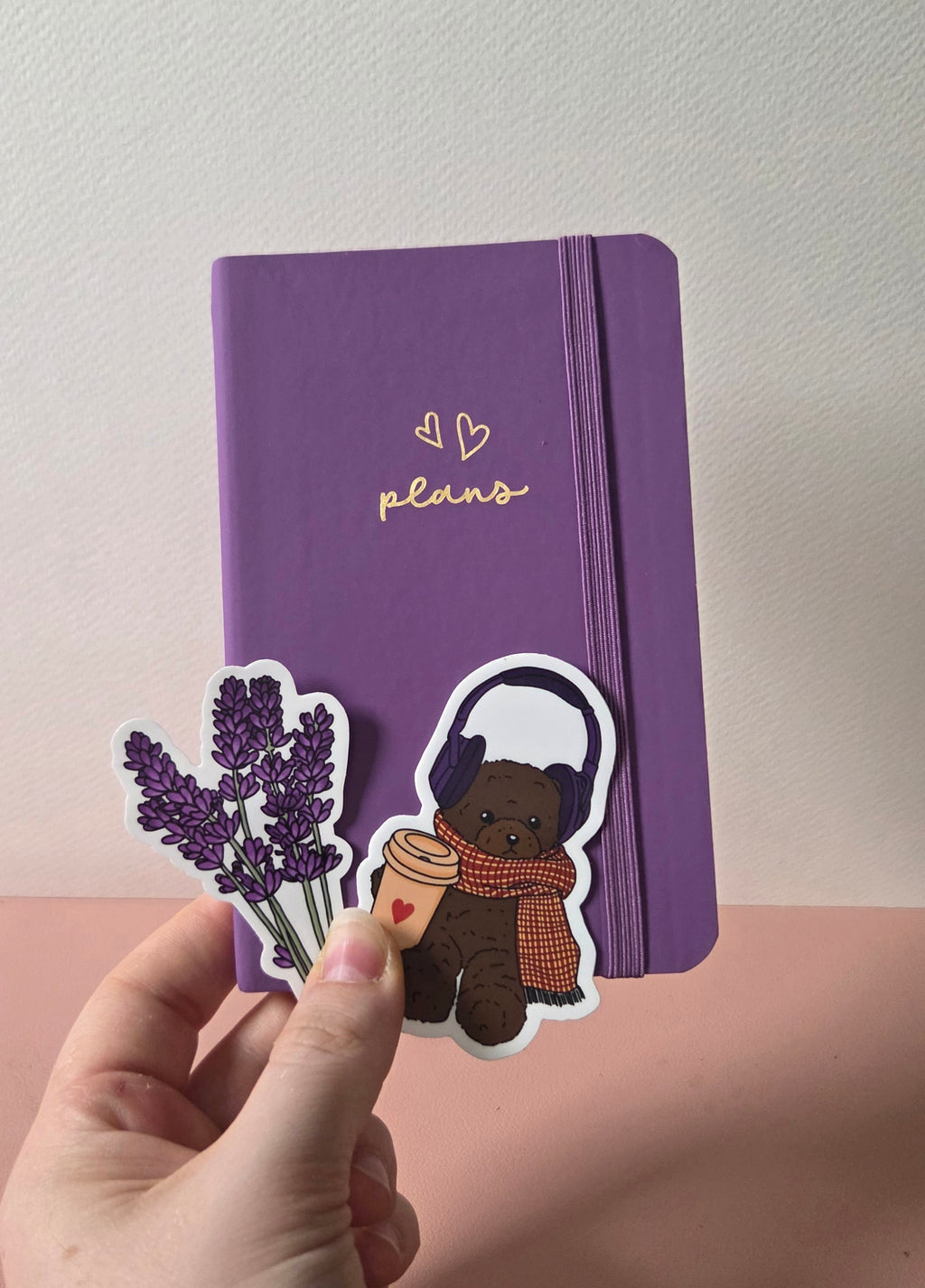 Pack Petit Plaisir ✨️