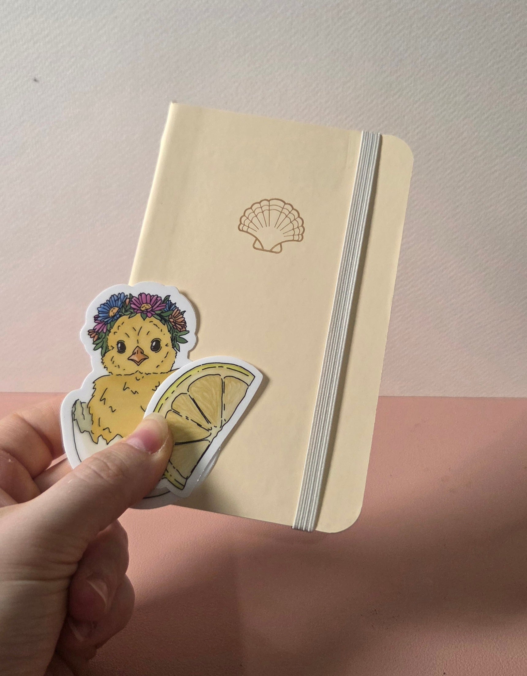 Pack Petit Plaisir ✨️